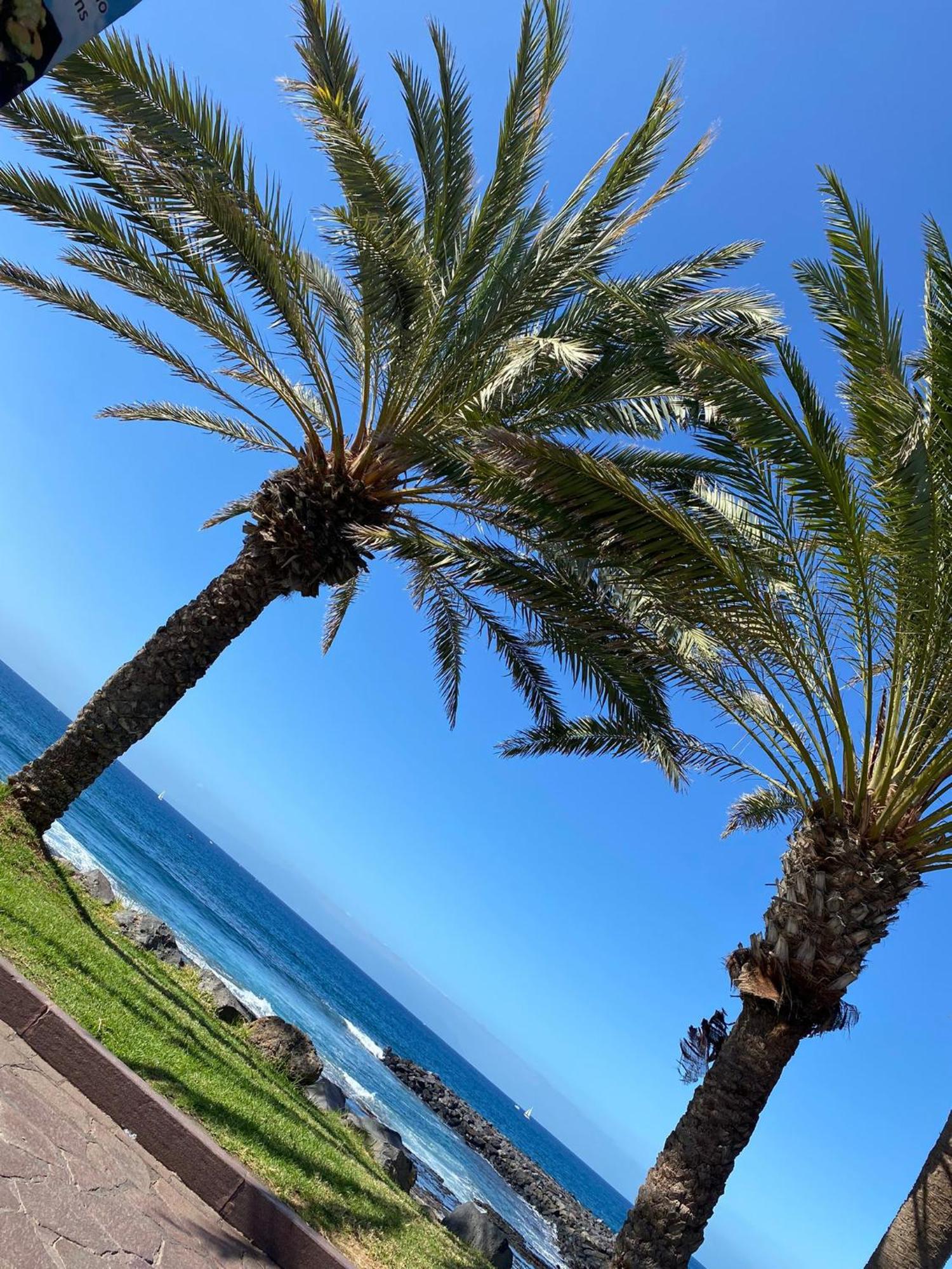 Coconut Apartament In Garden City Playa Feñabe Bagian luar foto